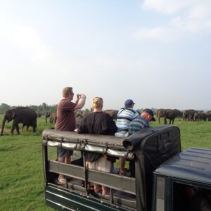Kaudulla Morning Safari